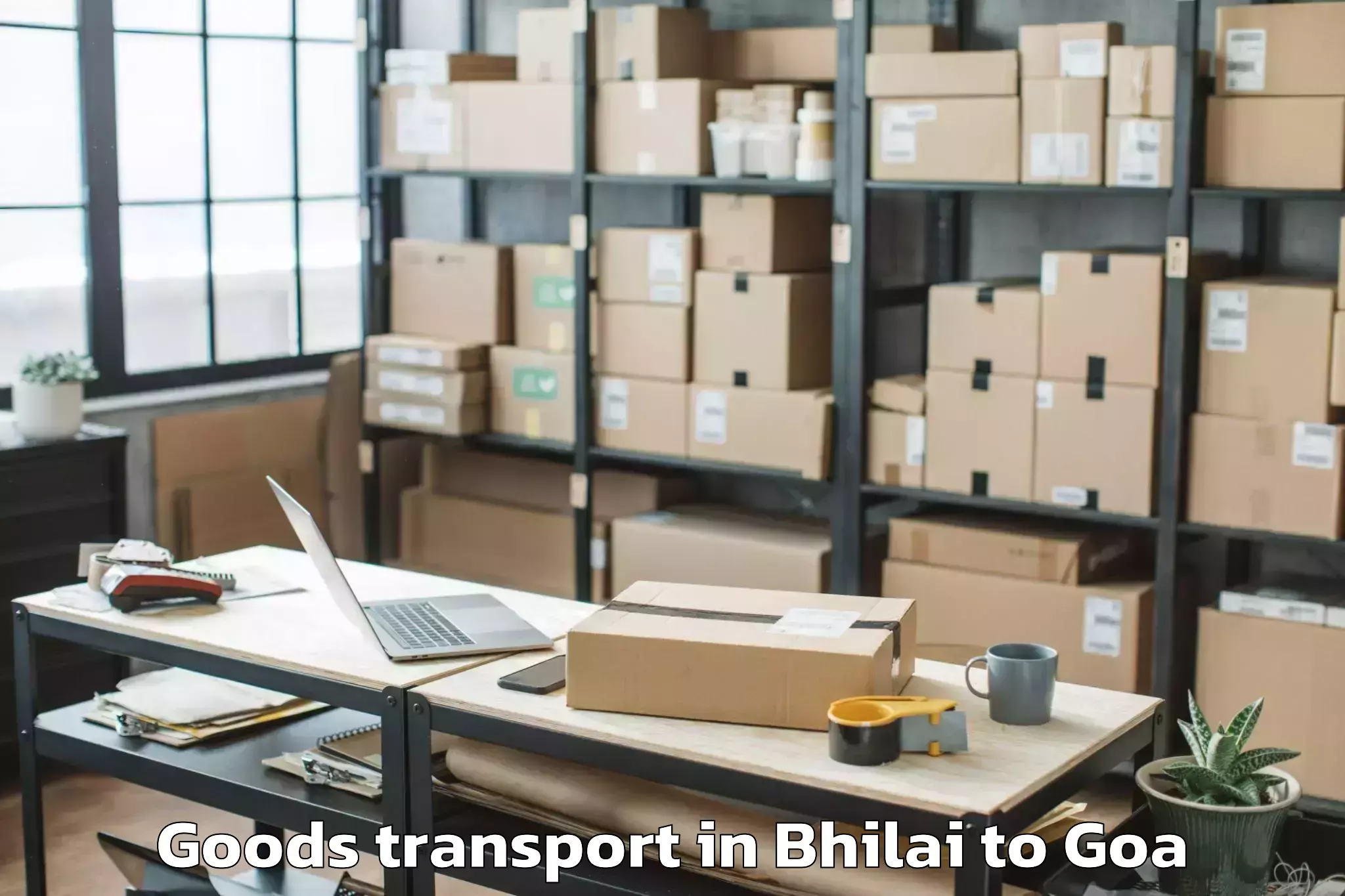 Book Bhilai to Tiswadi Goods Transport